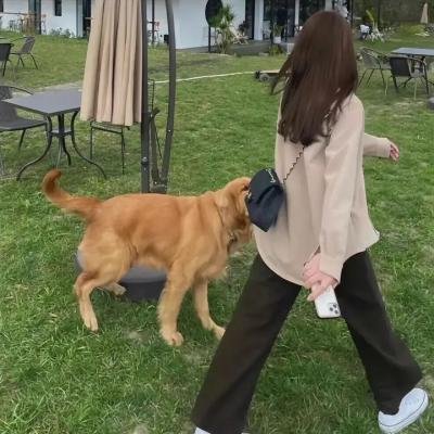 喋血凌霄阁
