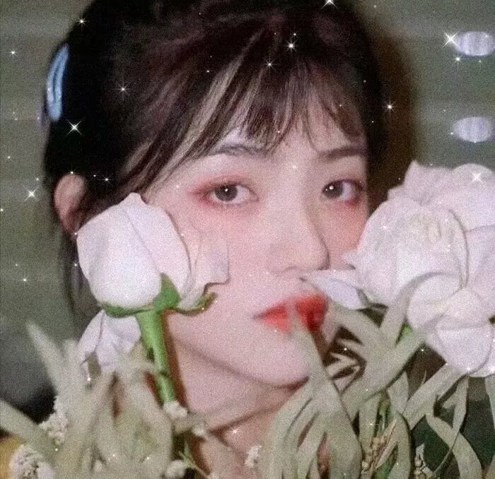 惊笑好莱坞