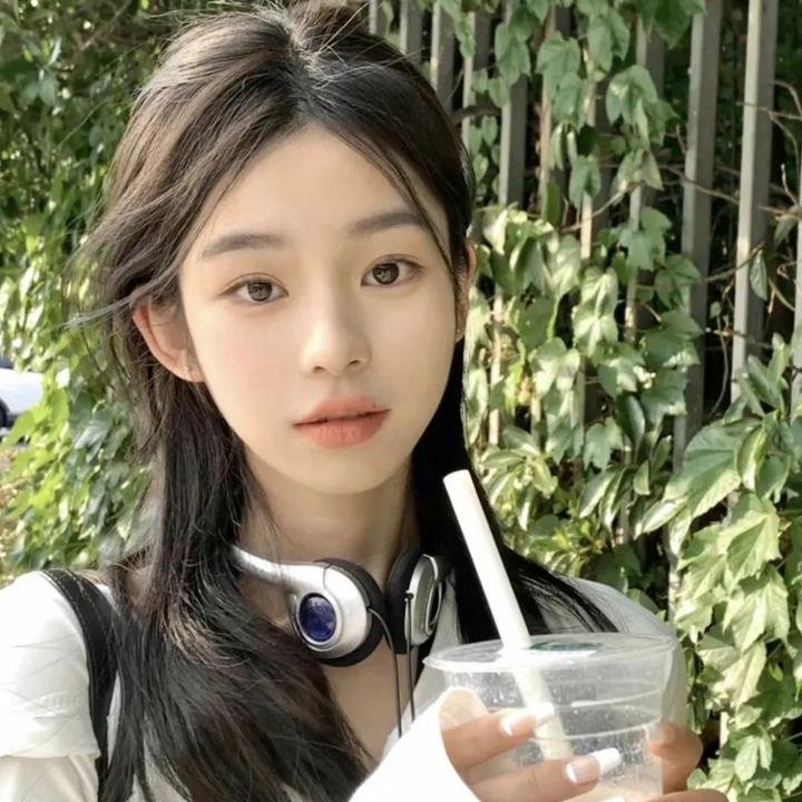 泰迪的圣诞节