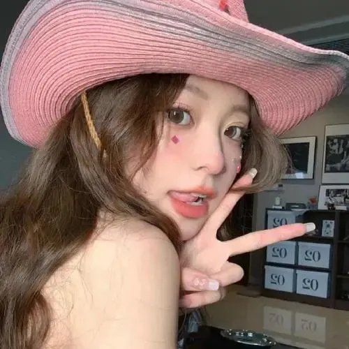 尼姆计划